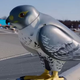 Illustration for article titled Robotic Birds Are the (Ridiculously Expensive) Modern-Day Scarecrows